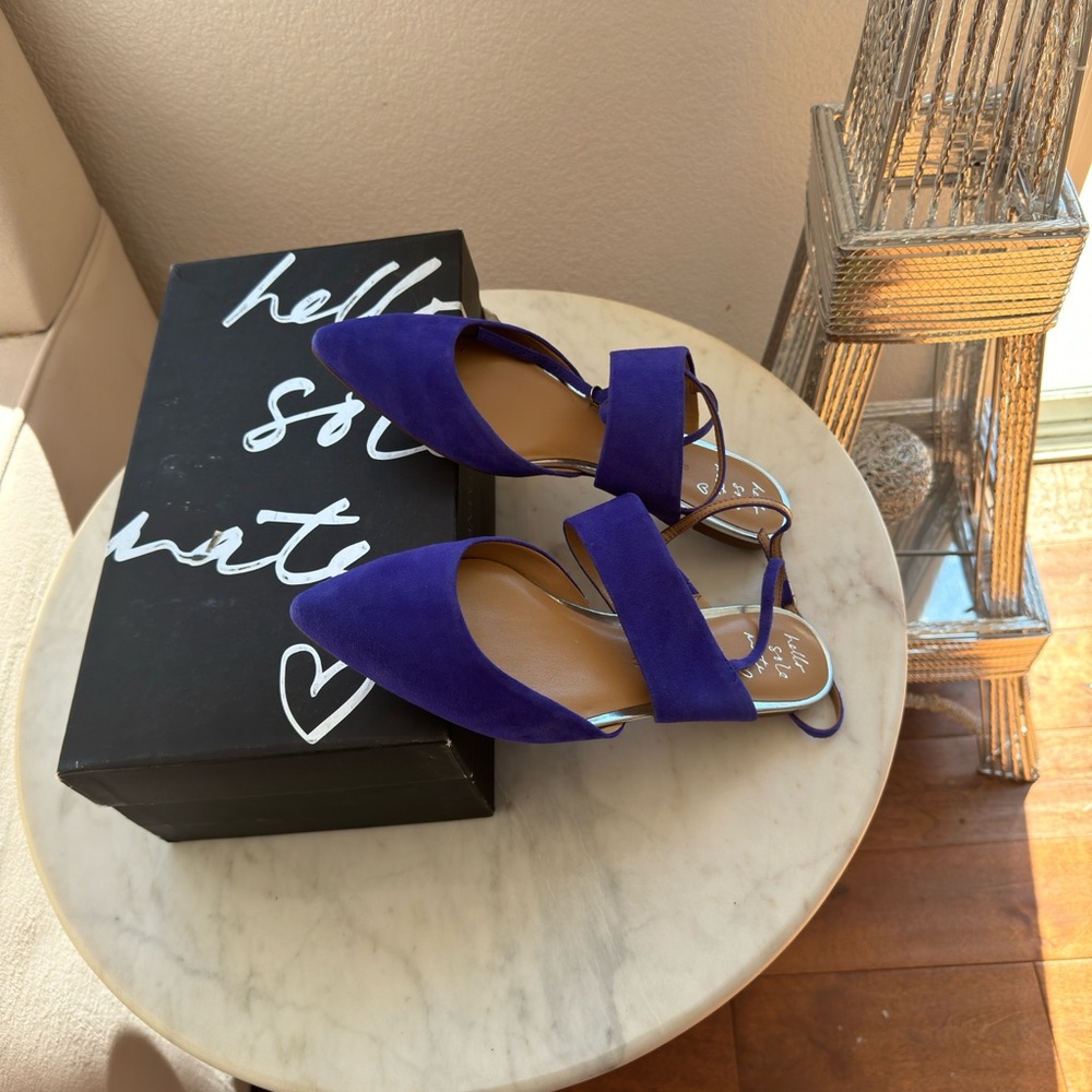 Banana Republic Abilene  Ankle Wrap Leather Flats
